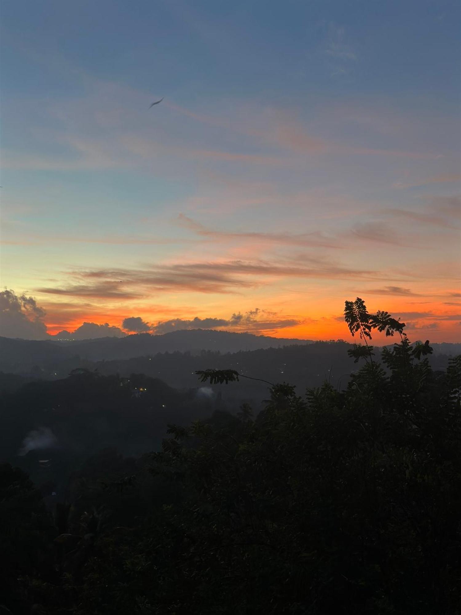 Kandy Hill Escape Dış mekan fotoğraf